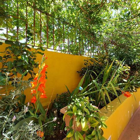 Casa Maestro Lelo - Acogedora Casa Rural Canaria Con Patios Y Jardines De Flores Las Palmas de Gran Canaria Esterno foto
