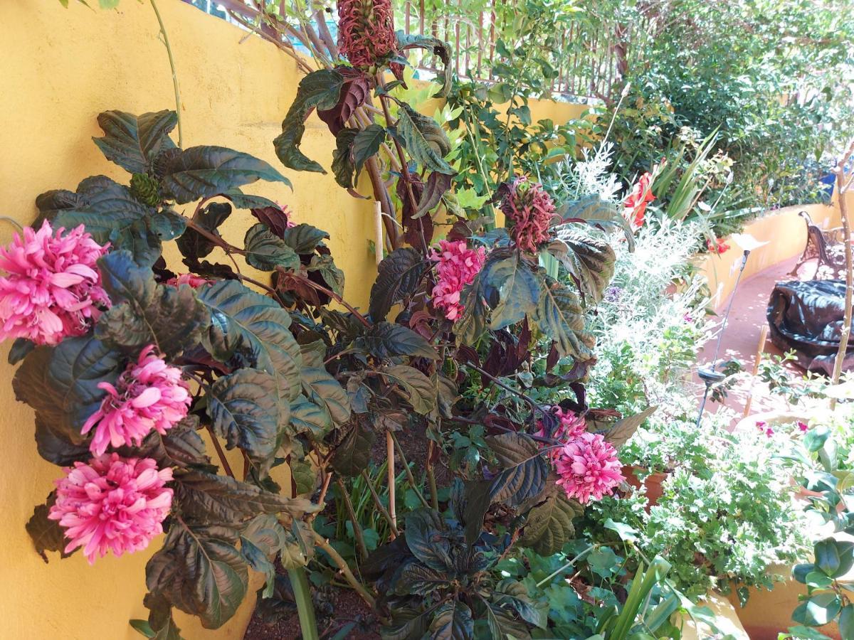 Casa Maestro Lelo - Acogedora Casa Rural Canaria Con Patios Y Jardines De Flores Las Palmas de Gran Canaria Esterno foto