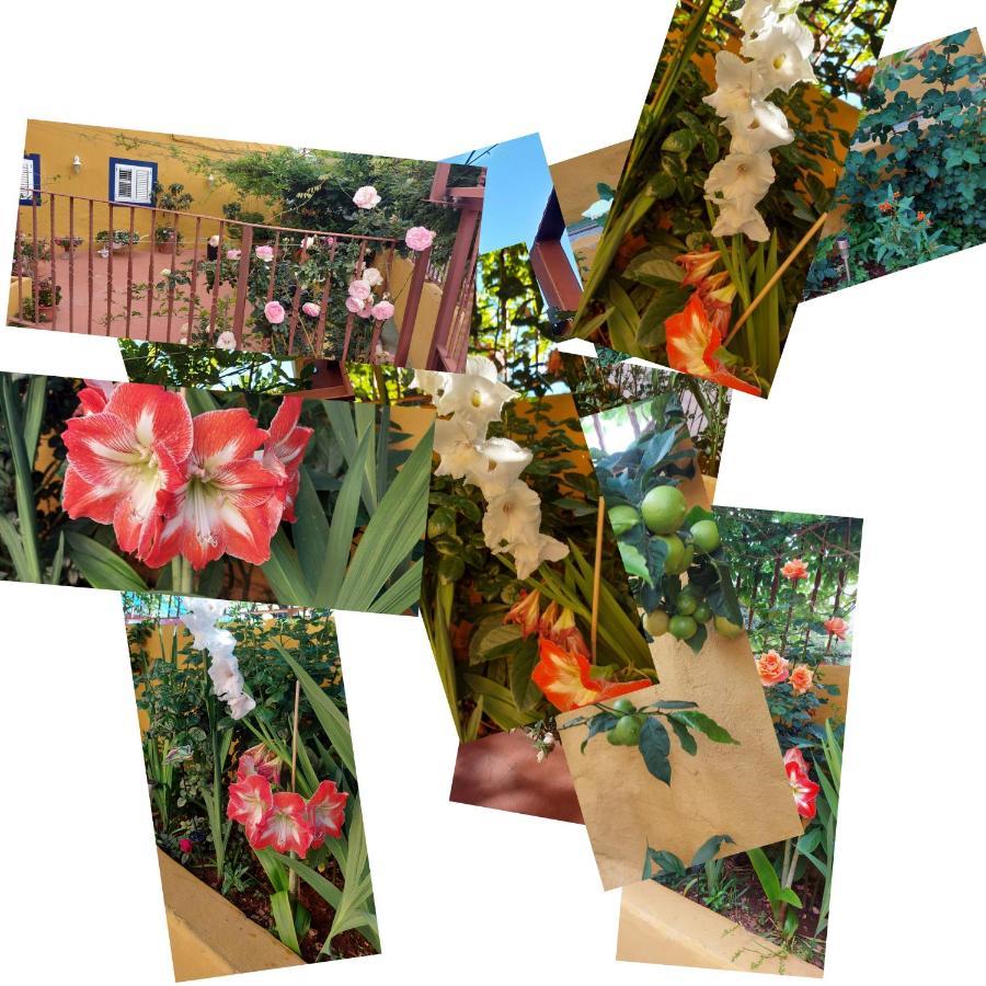 Casa Maestro Lelo - Acogedora Casa Rural Canaria Con Patios Y Jardines De Flores Las Palmas de Gran Canaria Esterno foto