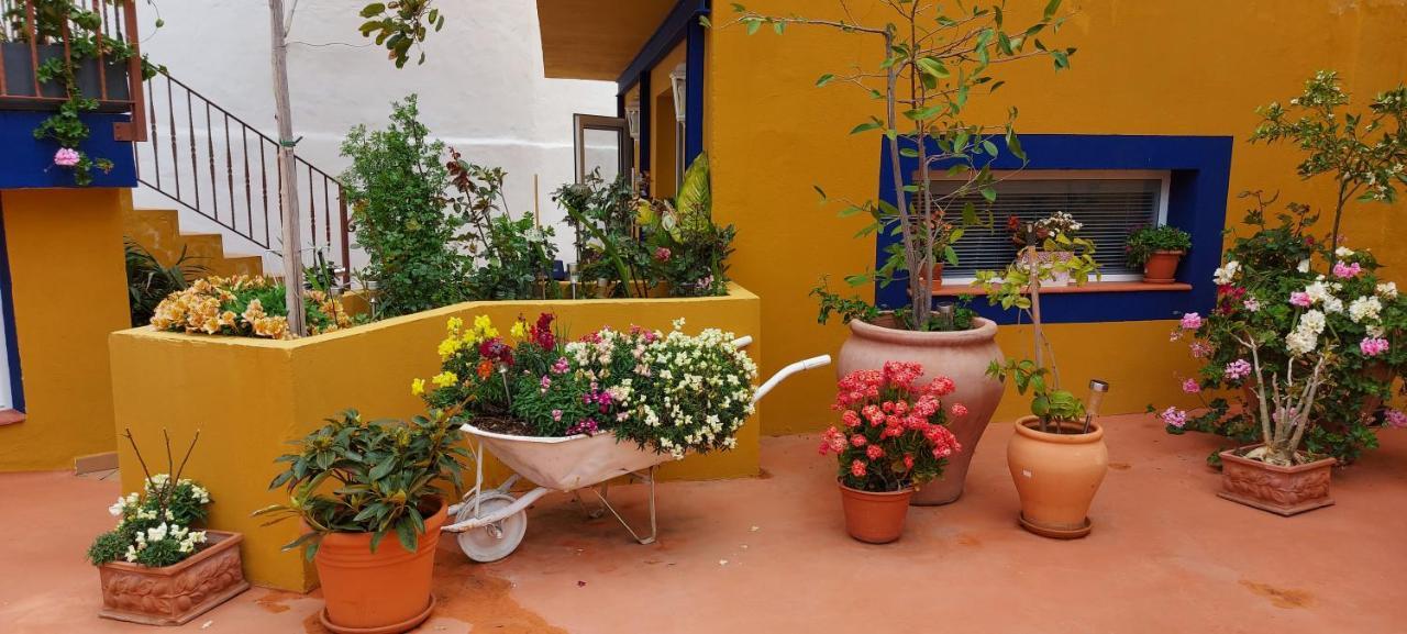 Casa Maestro Lelo - Acogedora Casa Rural Canaria Con Patios Y Jardines De Flores Las Palmas de Gran Canaria Esterno foto